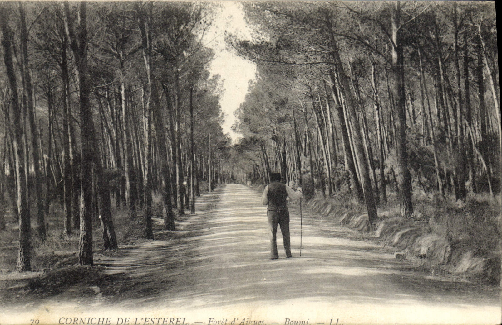 CPA Corniche de L'Esterel Foret d'Aigues Boumi