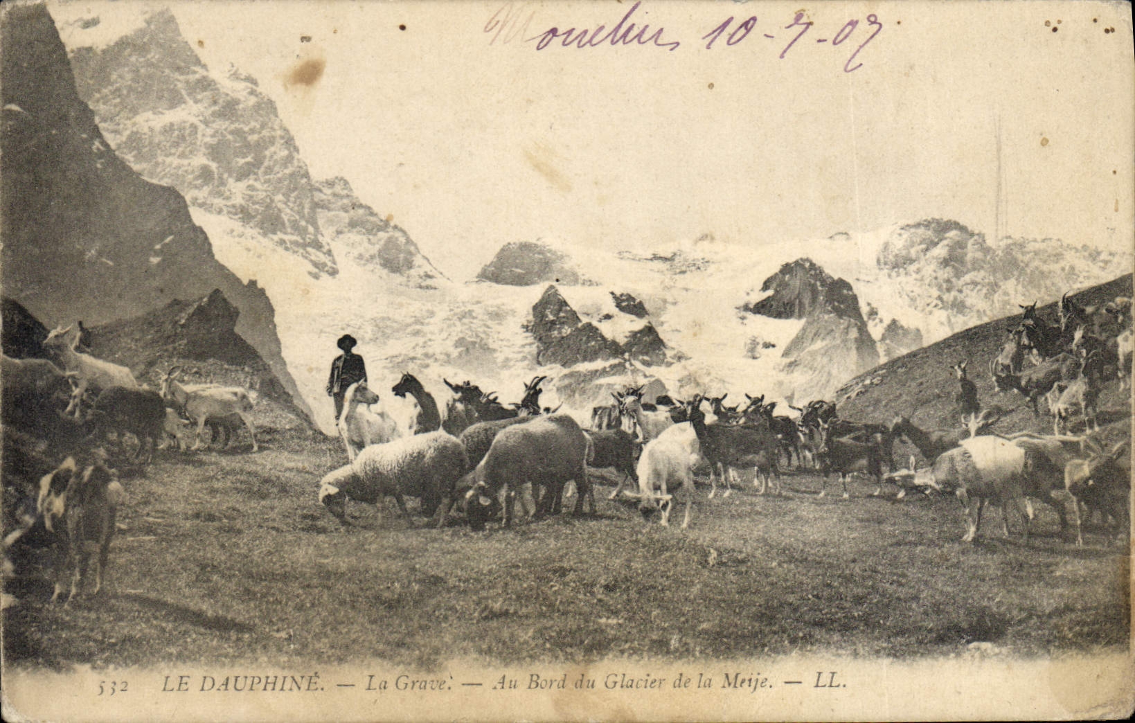CPA Le Dauphine la Grave au Bord du Glacier de la Meije Chevres Chevre Moutons