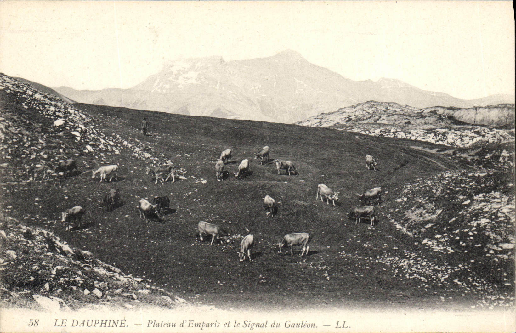 CPA Le Dauphine Plateau d'Emparis et le Signal Gauleon
