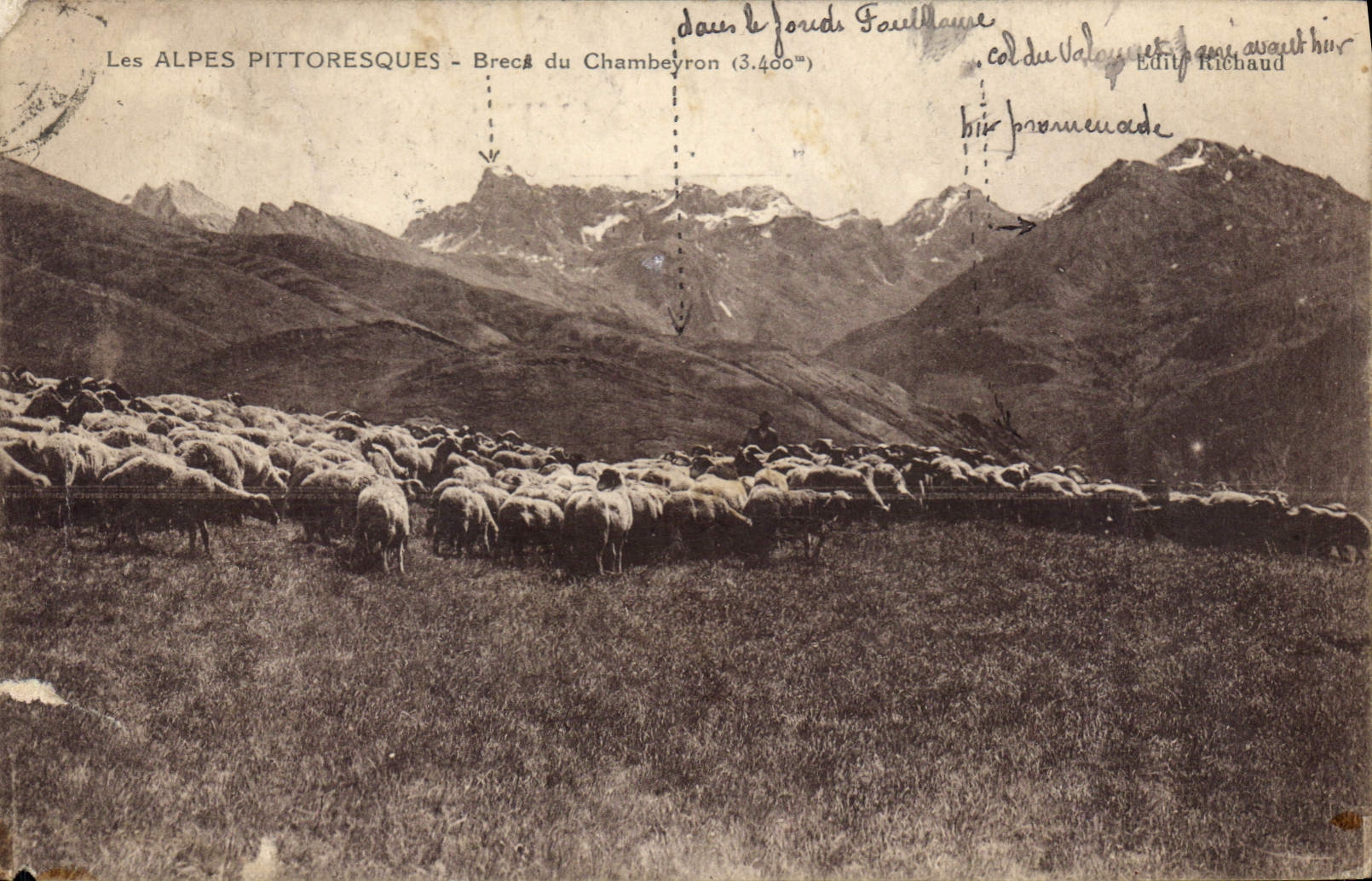 CPA Les Alpes Pittoresques Bres du Chambeyron Berger Moutons
