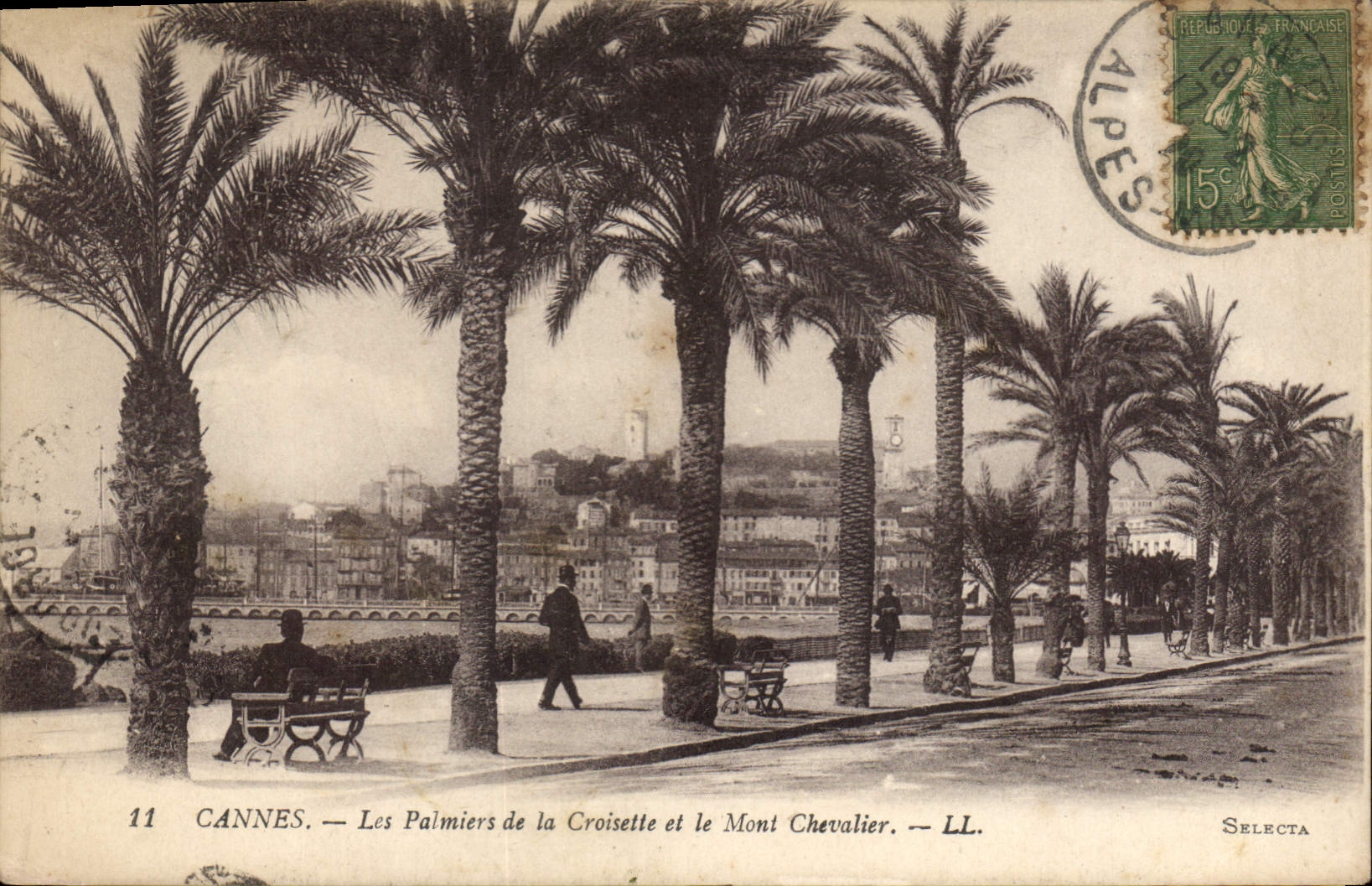 CPA Cannes Les Palmiers de la Croisette et le Mont Chevalier 