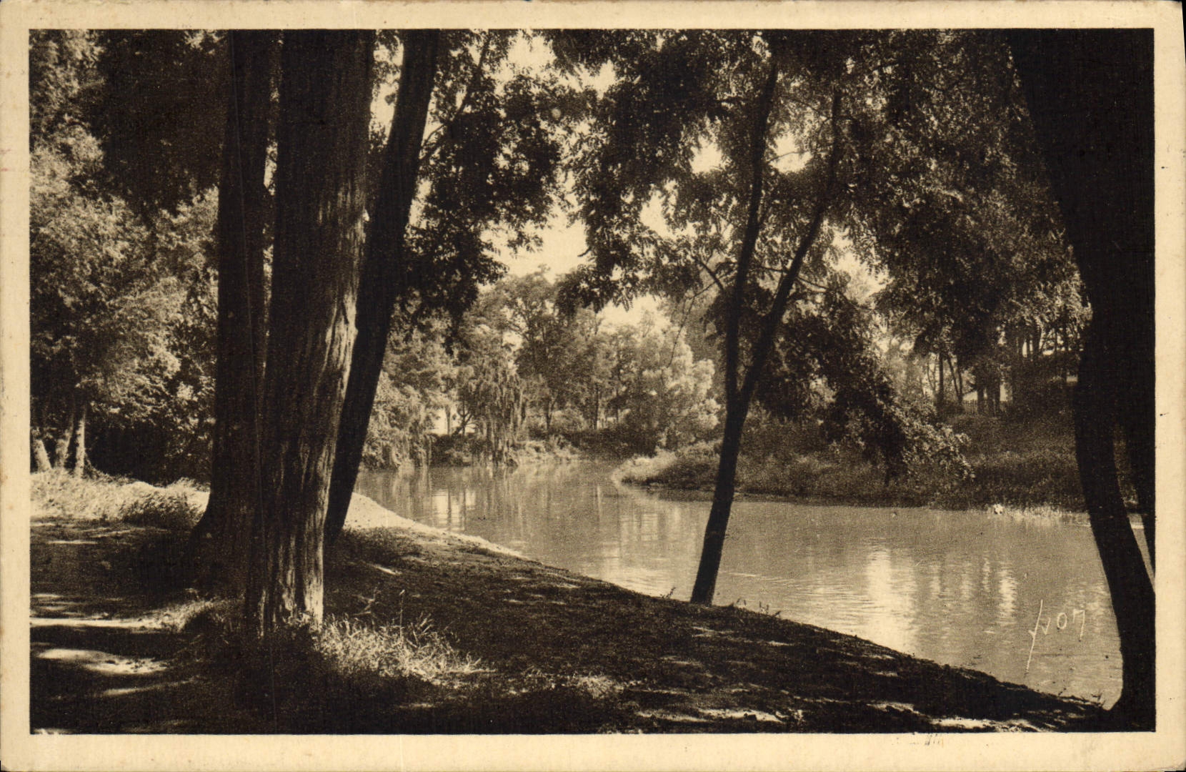 CPA Toulouse Les bords de la Garonne au Parc Toulousain