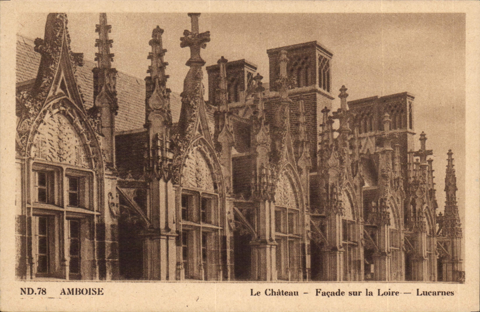 CPA Amboise Le Chateau Facade sur la Loire 