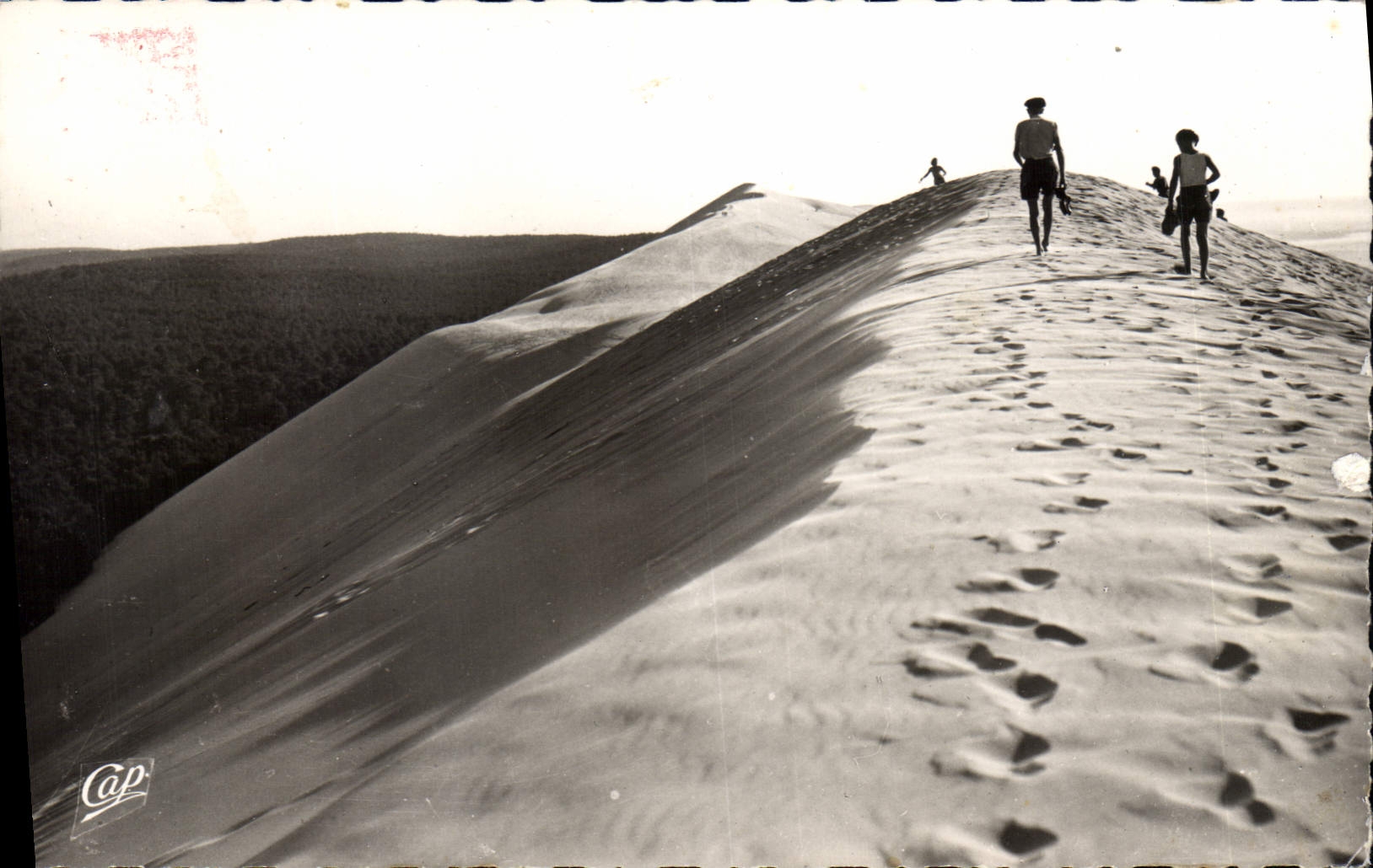 CPA Bassin d'Arcachon Pilat Plage Les dunes 
