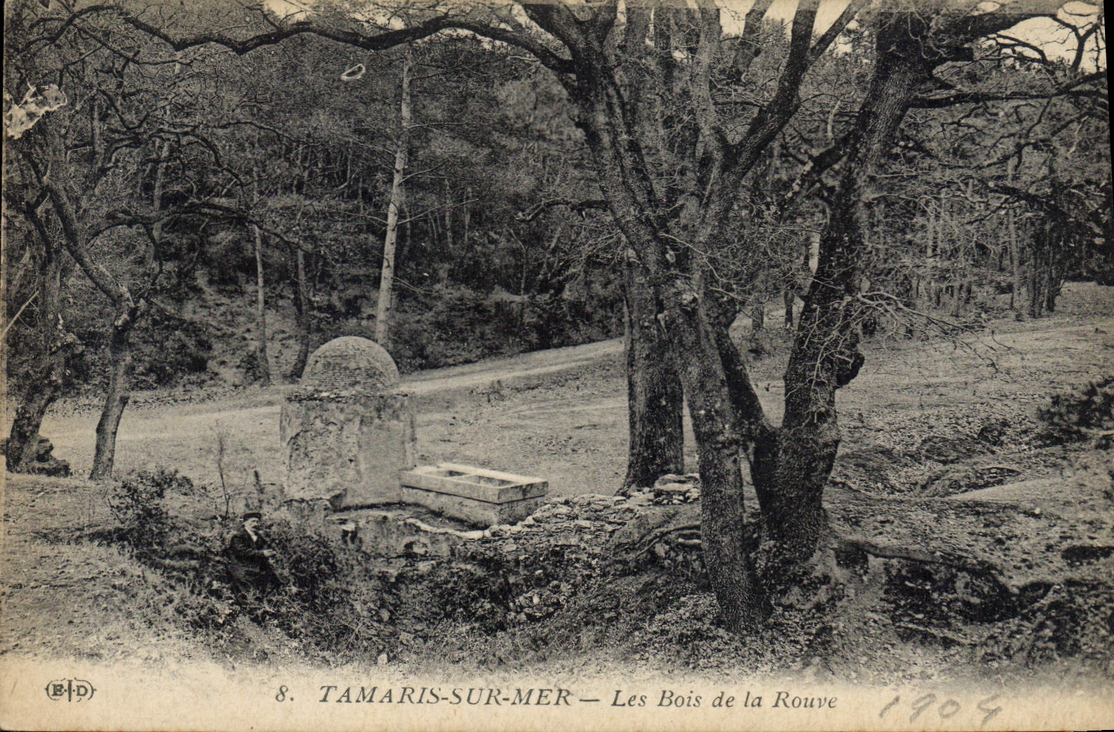 CPA Tamaris sur Mer les Bois de la Rouve