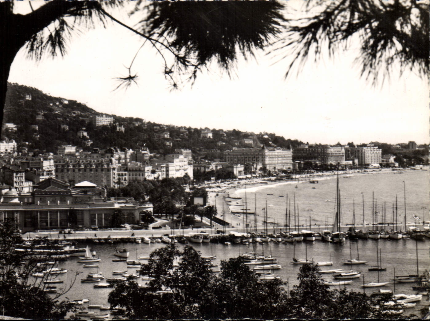 CPA Cannes vue du casino et du port 