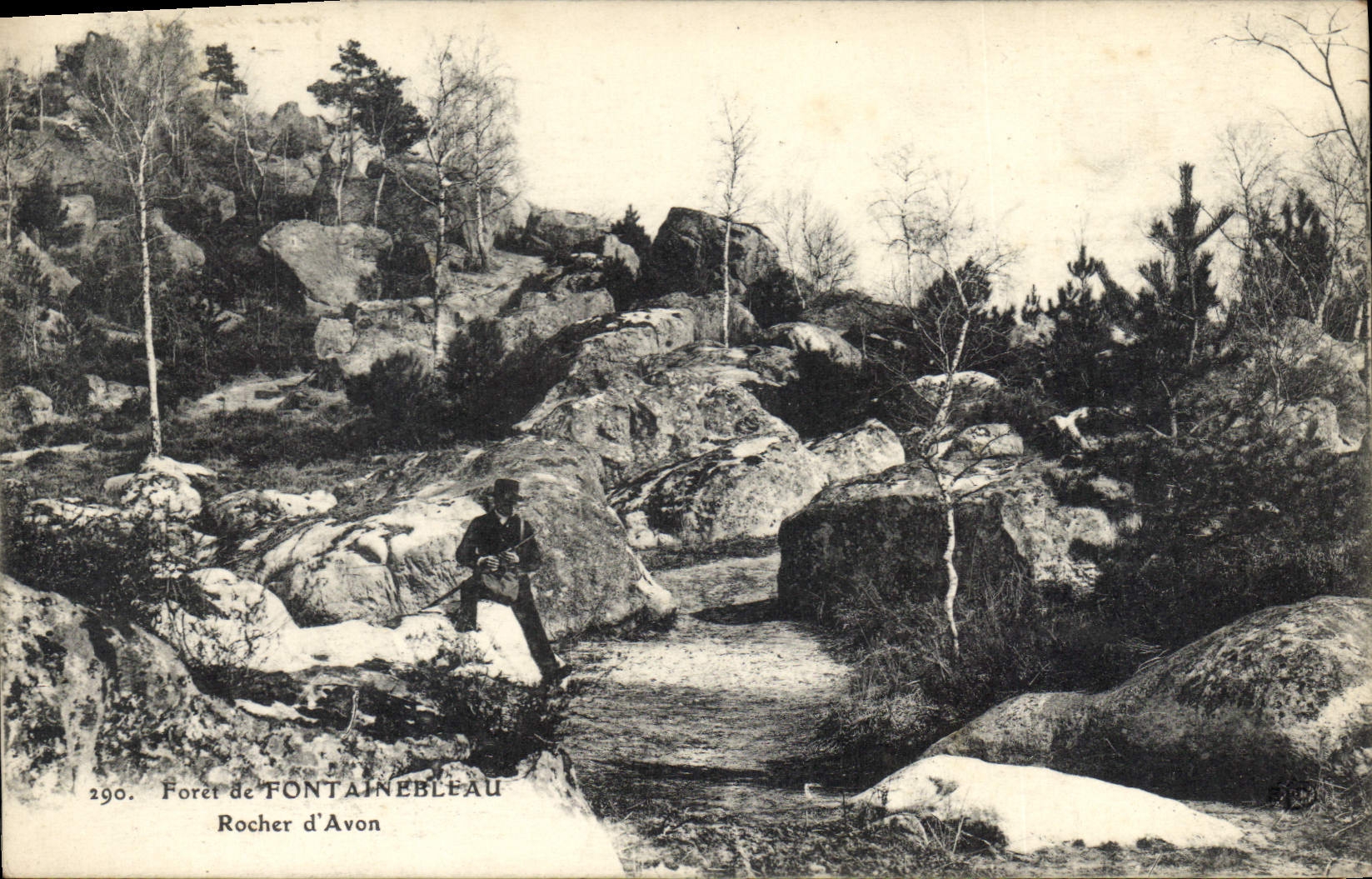 CPA Foret de Fontainebleau rocher d'Avon 