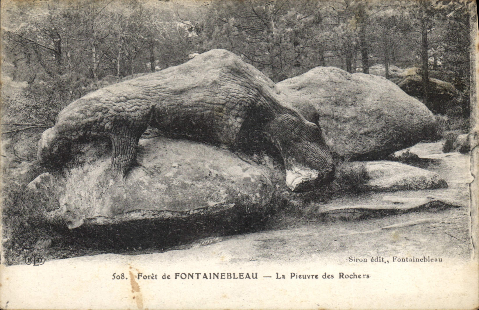 CPA Foret de Fontainebleau la Pieuvre des Rochers 