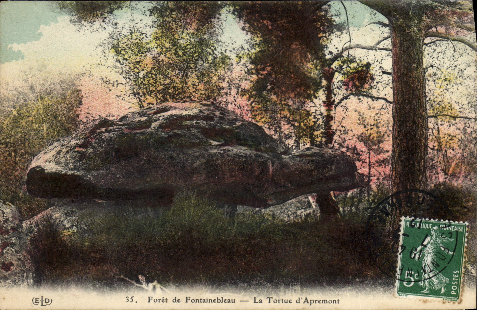 CPA Foret Fontainebleau la Tortue d'Apremont 