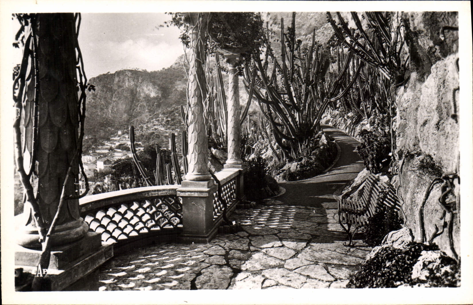 CPA Monaco le jardin Exotiquie 
