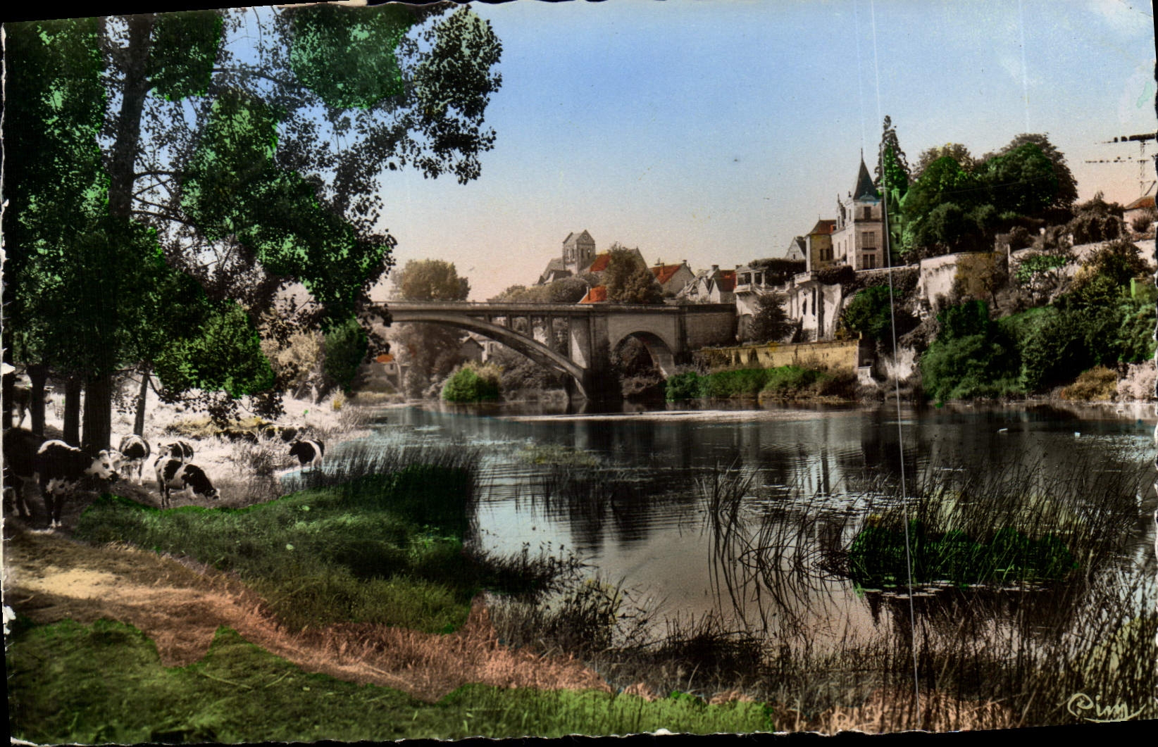 CPA La Roche Posay les Bains Vienne les bords de la Creuse Vaches