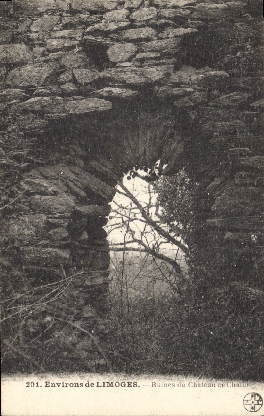 CPA Environs de Limoges Ruines du Chateau de Chalusset 