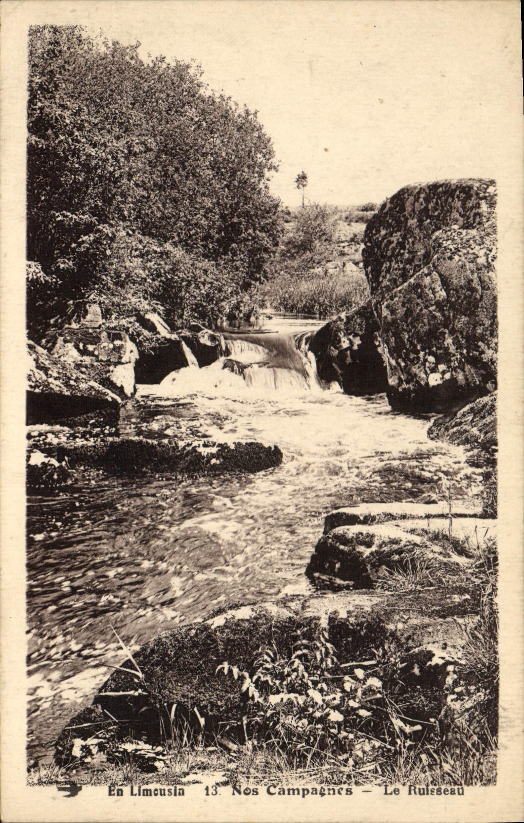 CPA En Limousin Nos Campagnes 