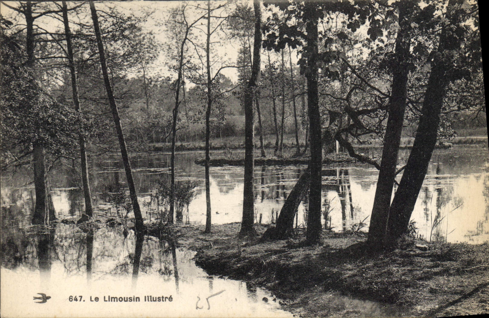 CPA Le Limousin Illustre 