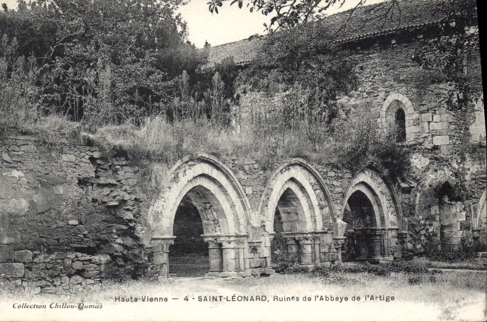 CPA Haute Vienne St Leonard Ruines de l'Abbaye de l'Artige 