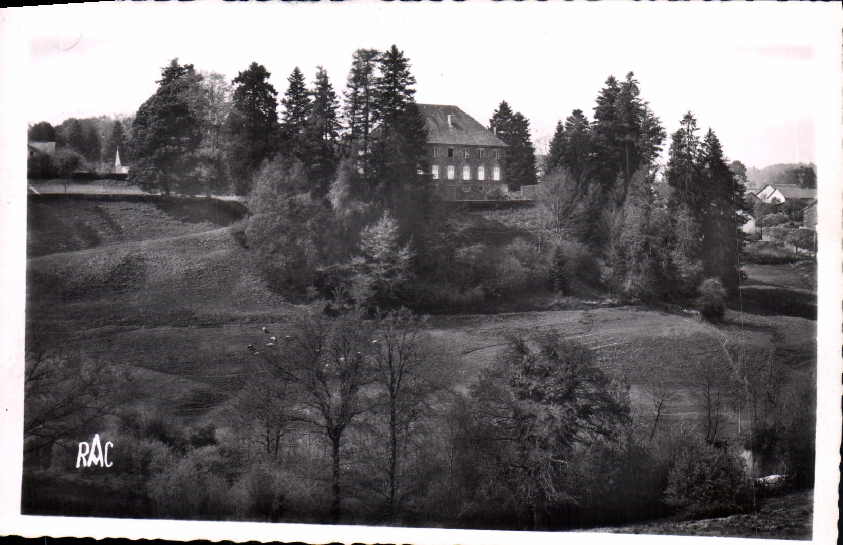 CPA Chateauneuf la Foret Le Chateau 