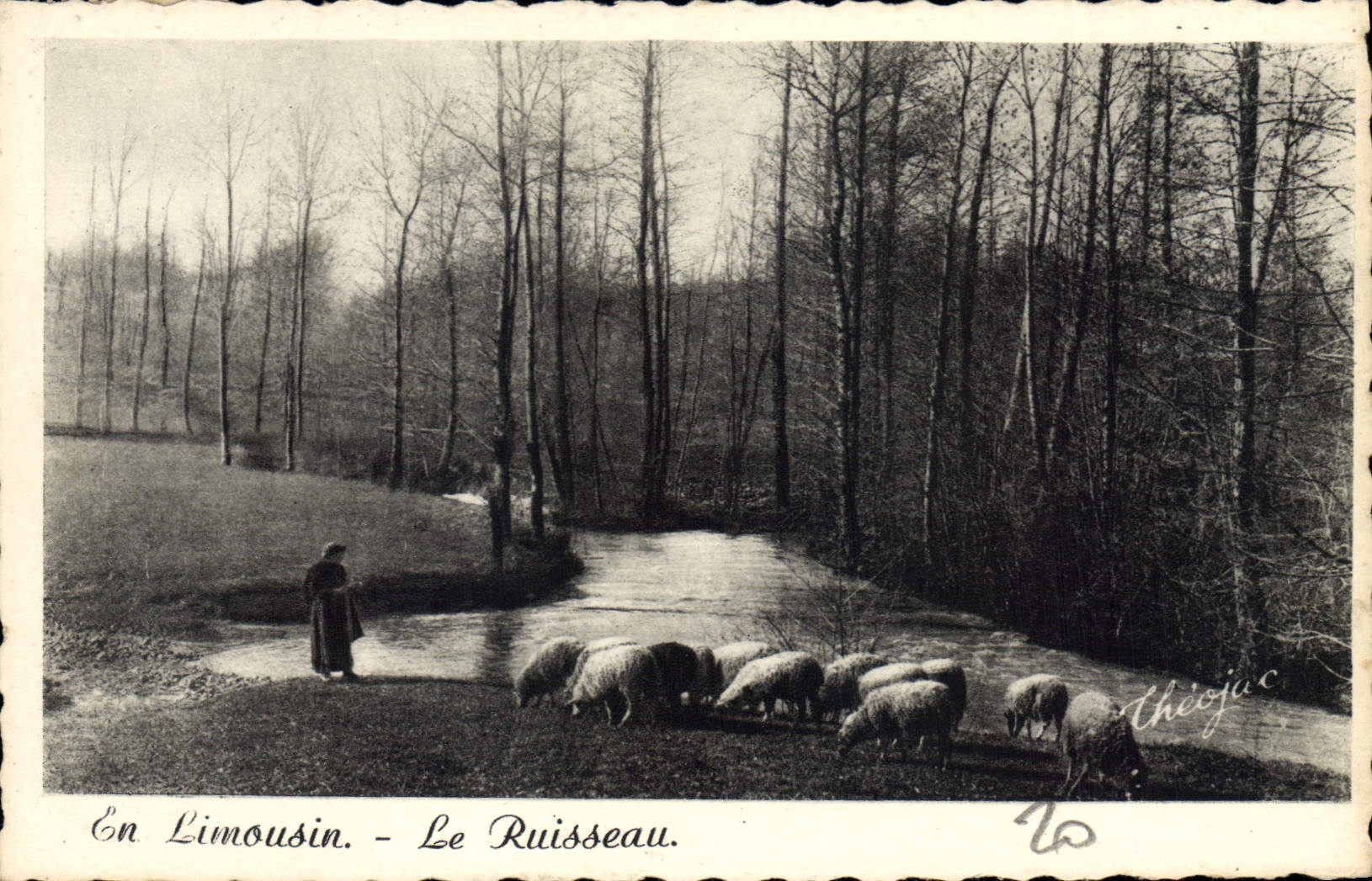 CPA En Limousin Le Ruisseau Moutons