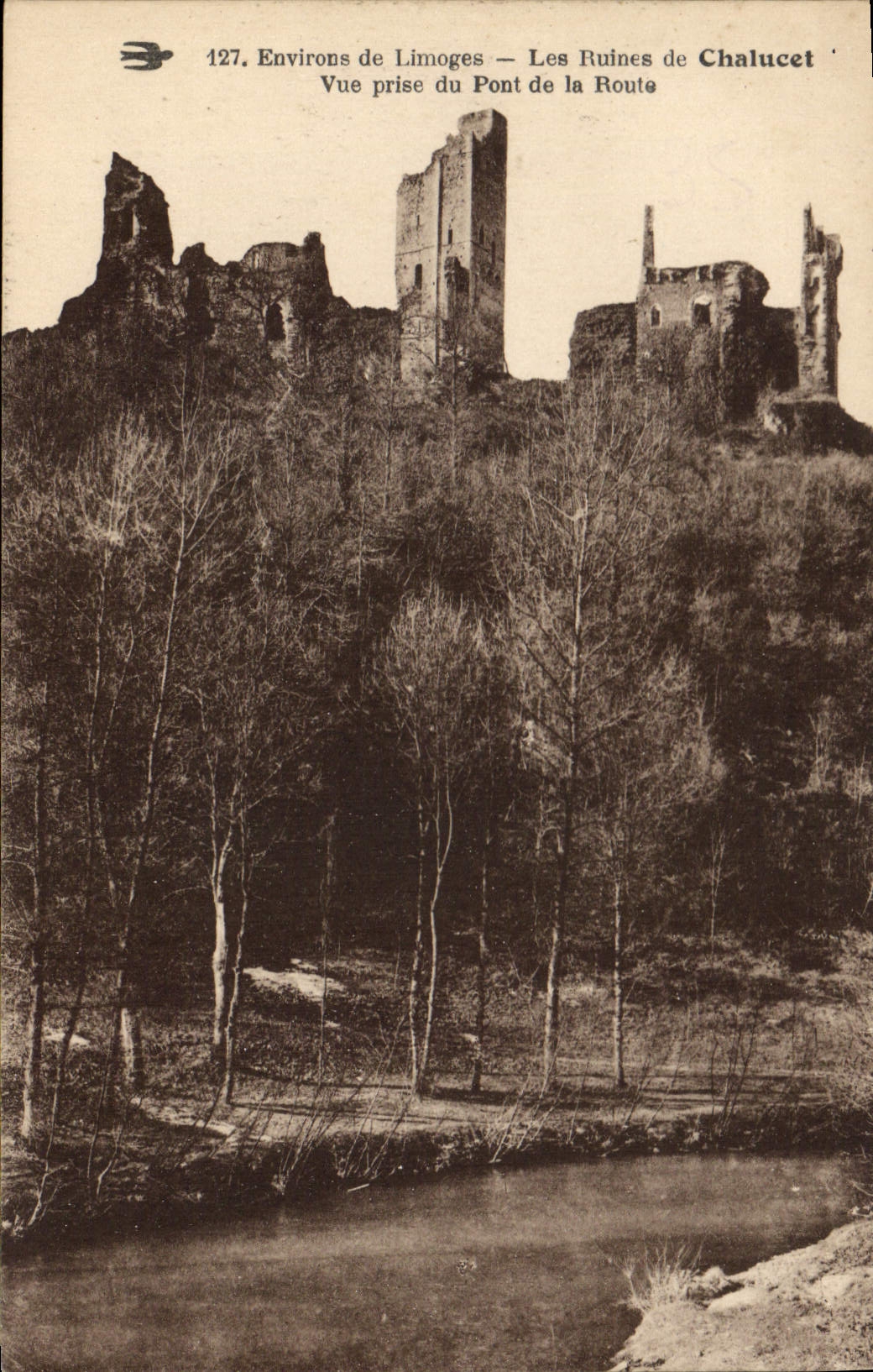 CPA Environs de Limoges Les Ruines de Chalucet Vue prise du Pont de la Route 