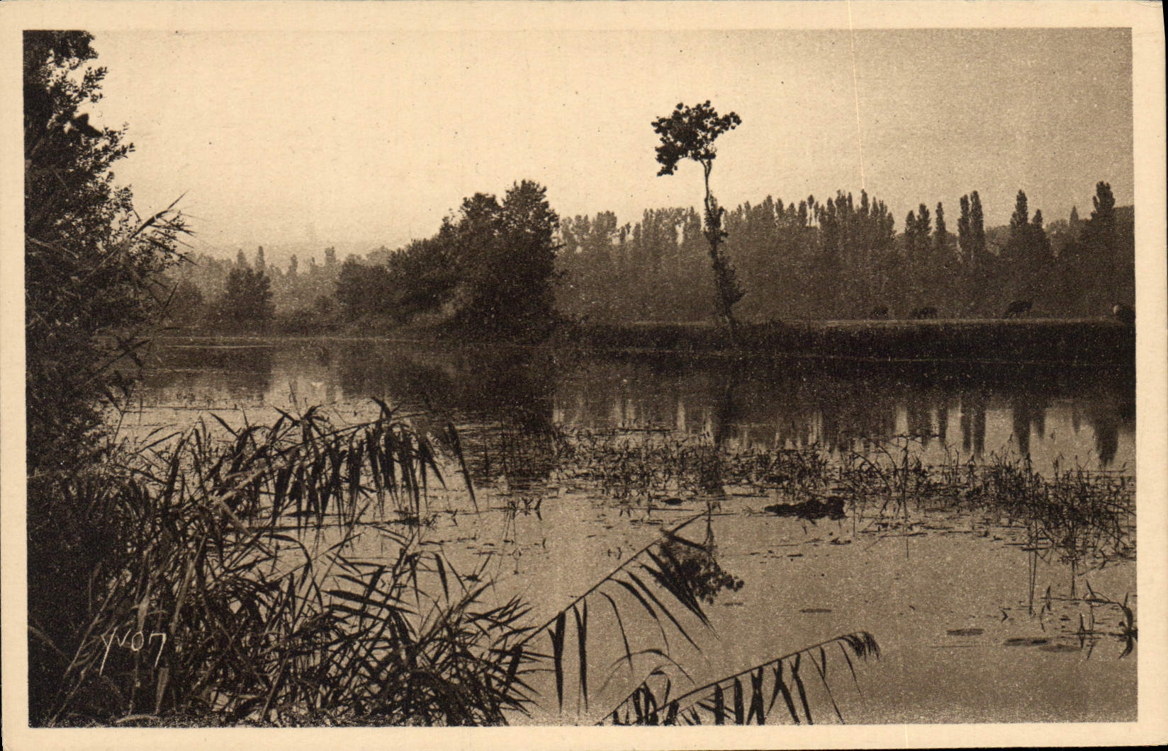 CPA La Region du Limousin Etude de Paysage sur les bords de la Dordogne