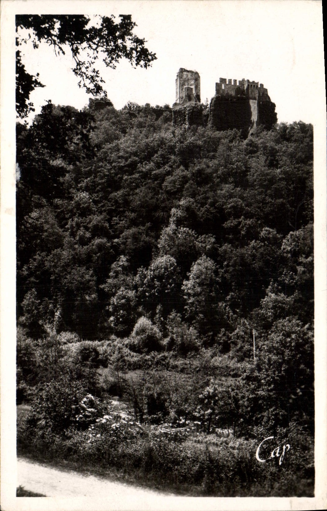 CPA Environs de Limoges Les Ruines de Chalusset 