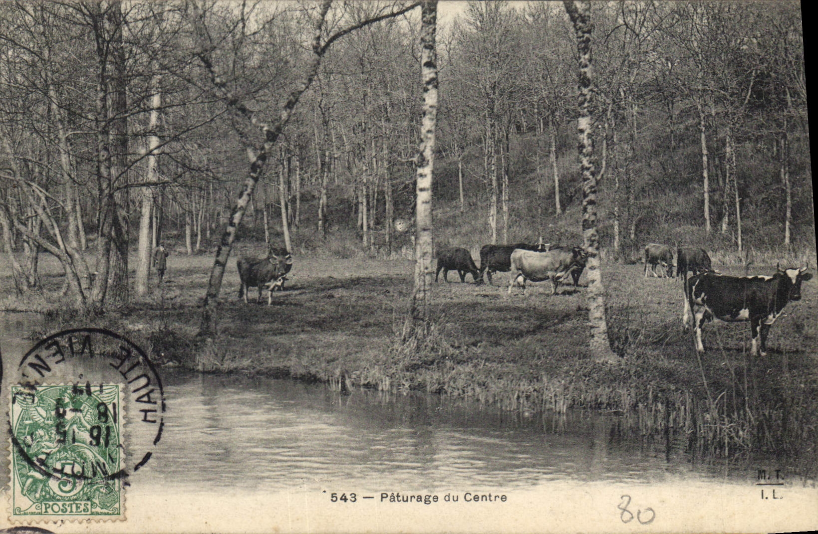 CPA Paturage du Centre Vaches