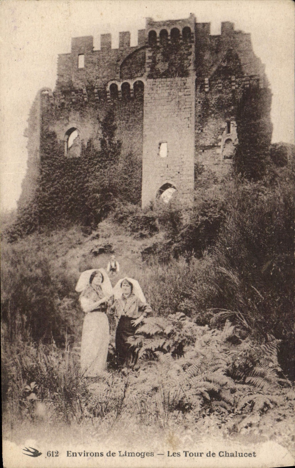 CPA Environs de Limoges Les Tour de Chalucet 