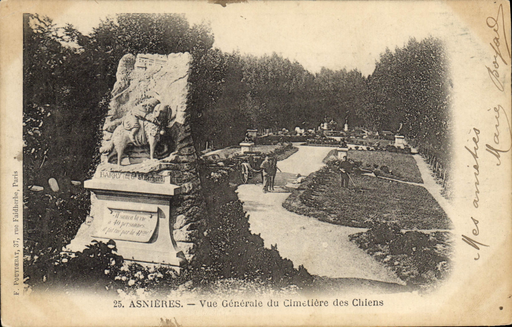 CPA Asnieres Vue Generale du Cimetiere des Chiens