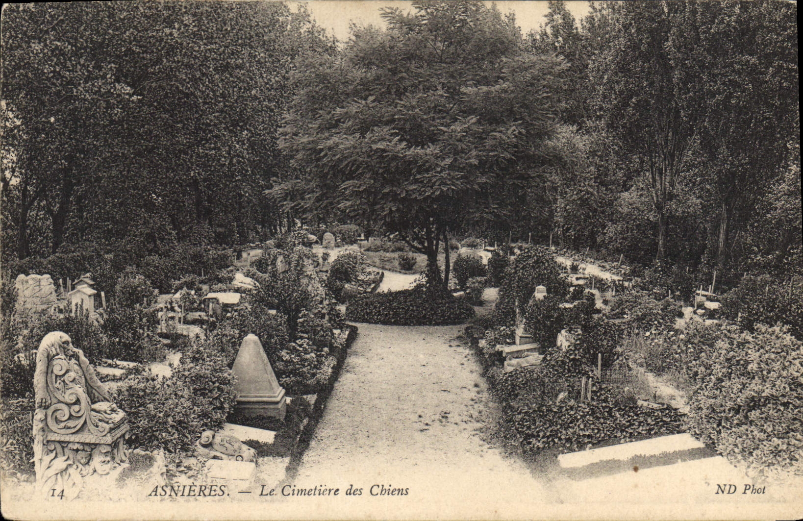 CPA Asnieres Le Cimetiere des Chiens