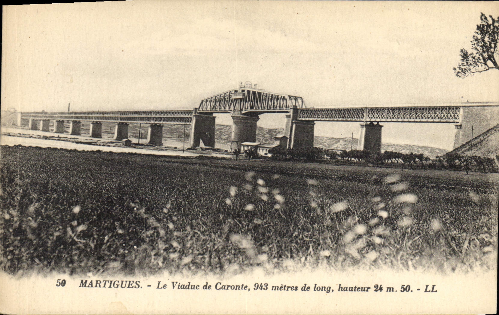 CPA Martigues Le Viaduc de Caronte 