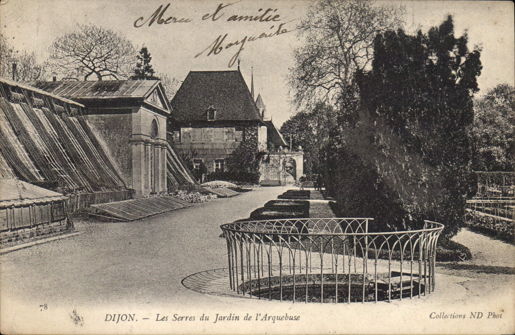 CPA Dijon Les Serres du Jardin de l'Arquebuse 
