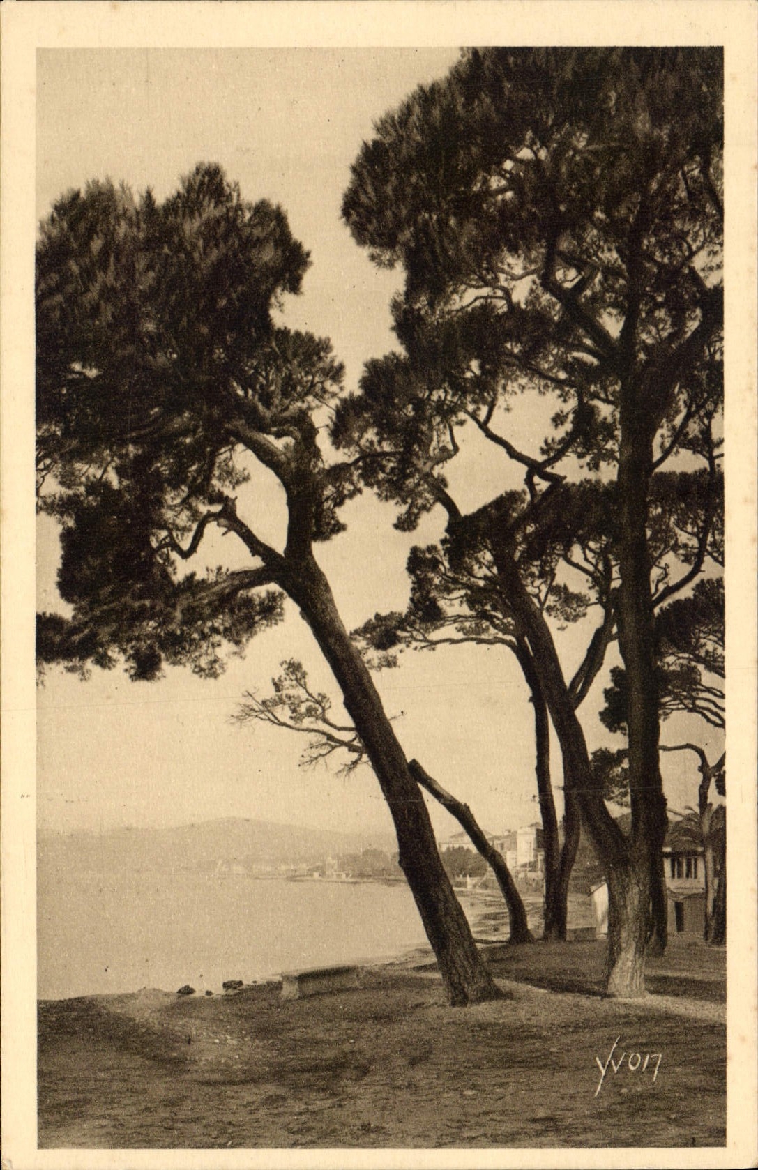 CPA Juan les Pins 