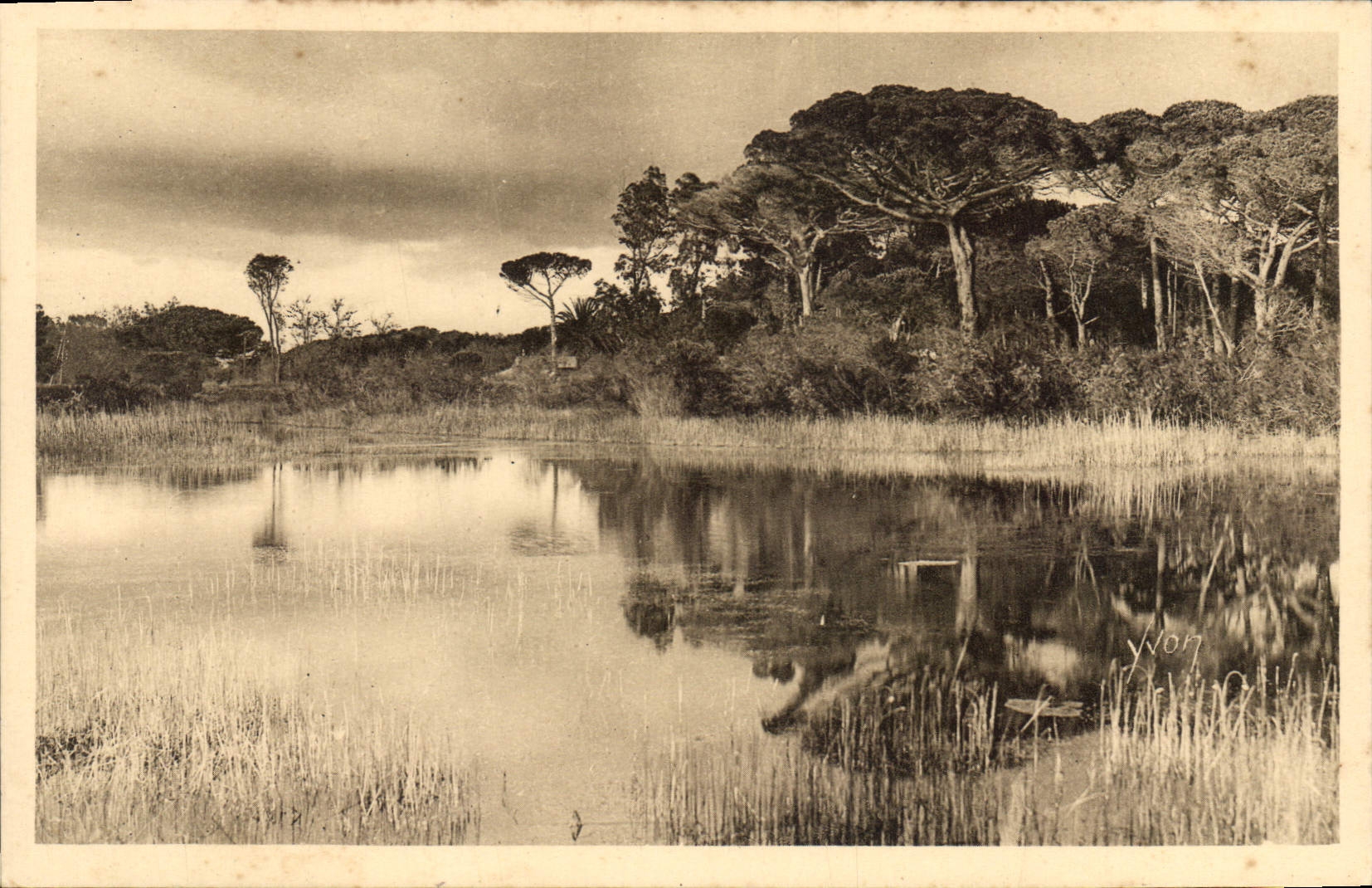 CPA Hyeres Paysage sur la Route de la Plage