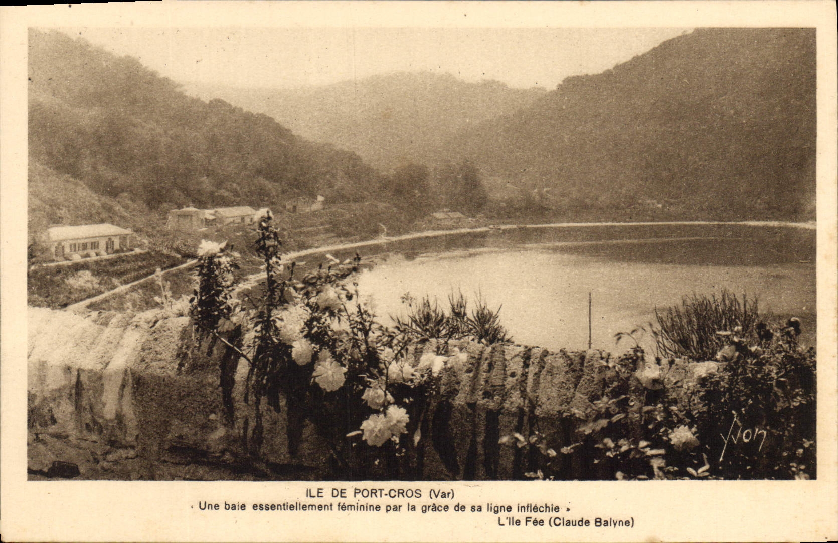 CPA Ile de Port Cros Var Une baie essenrielement terminaine pal la grace de sa ligne inflechie Claud