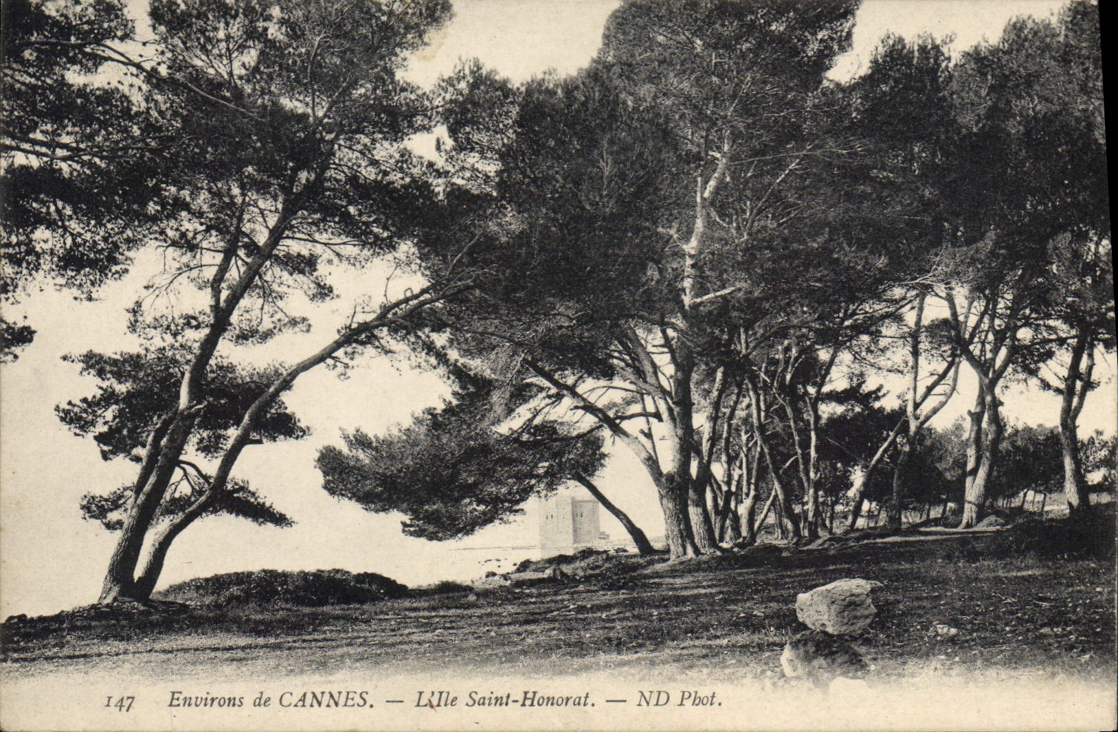 CPA Environs de Cannes Lille Saint Honorat 