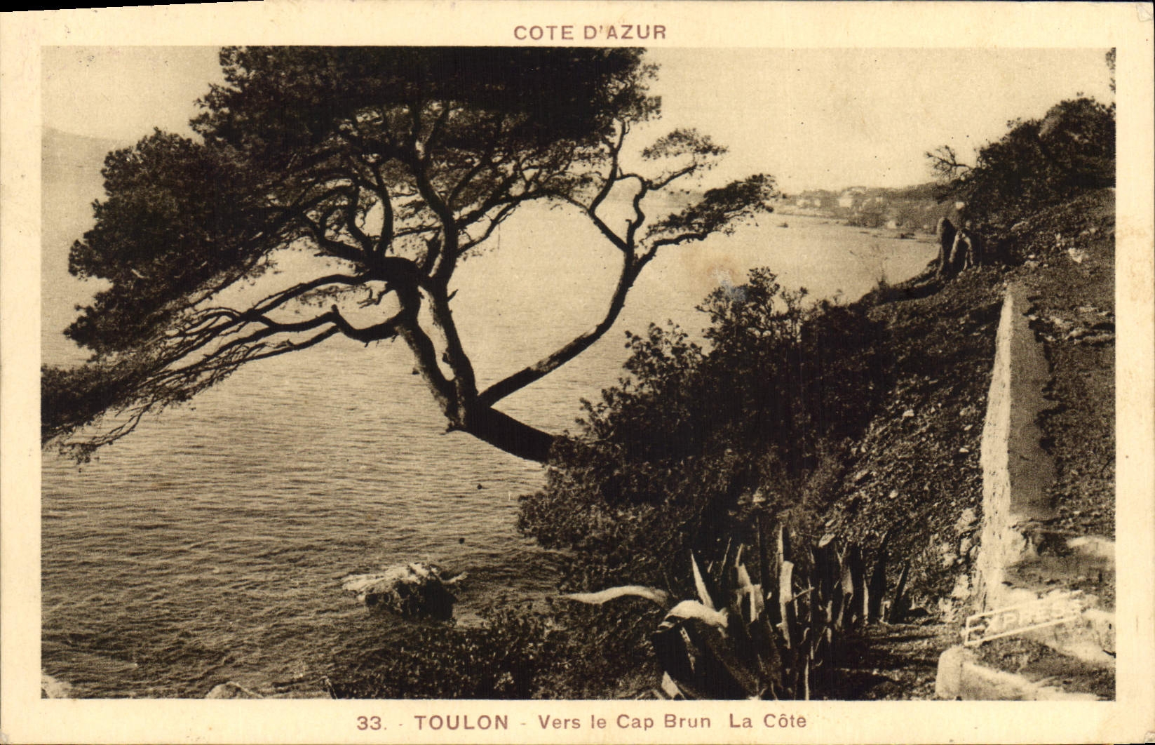 CPA Toulon Vers le Cap Brun la Cote 