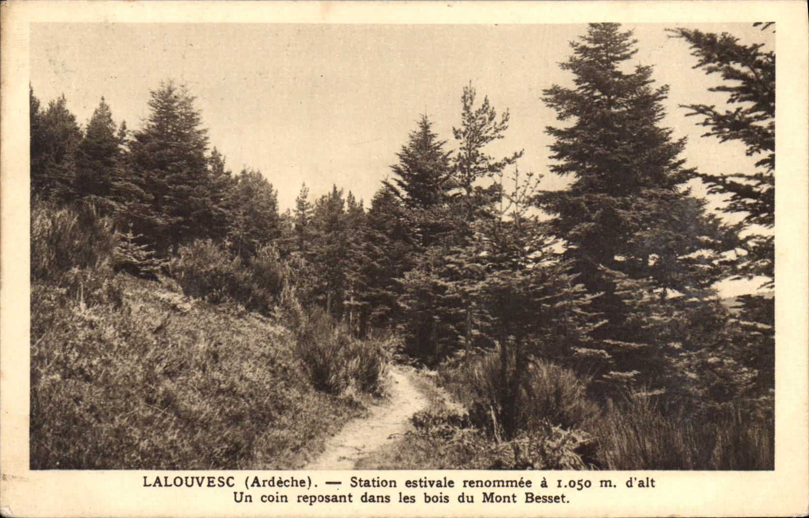 CPA Lalouvesc Ardeche Station estivale Un coin reposant dans les bois du Mont Besset