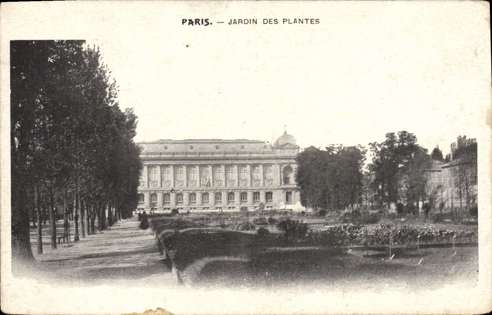 CPA Paris jardin des Plantes 