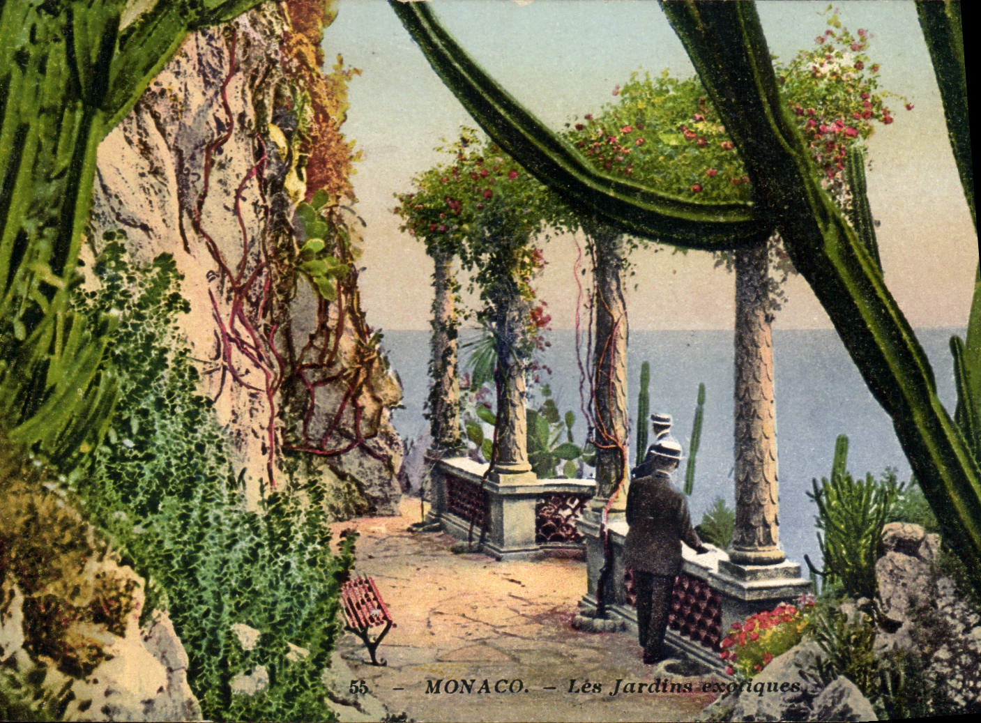 CPA Monaco les jardins exotiques 