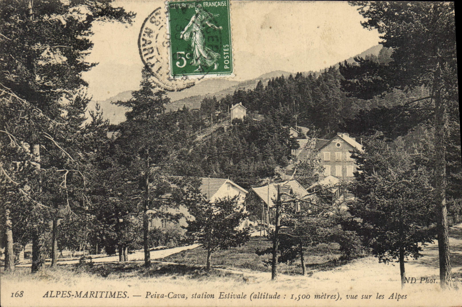 CPA Alpes Maritimes Peira Cava Station Estivale vue sur les Alpes