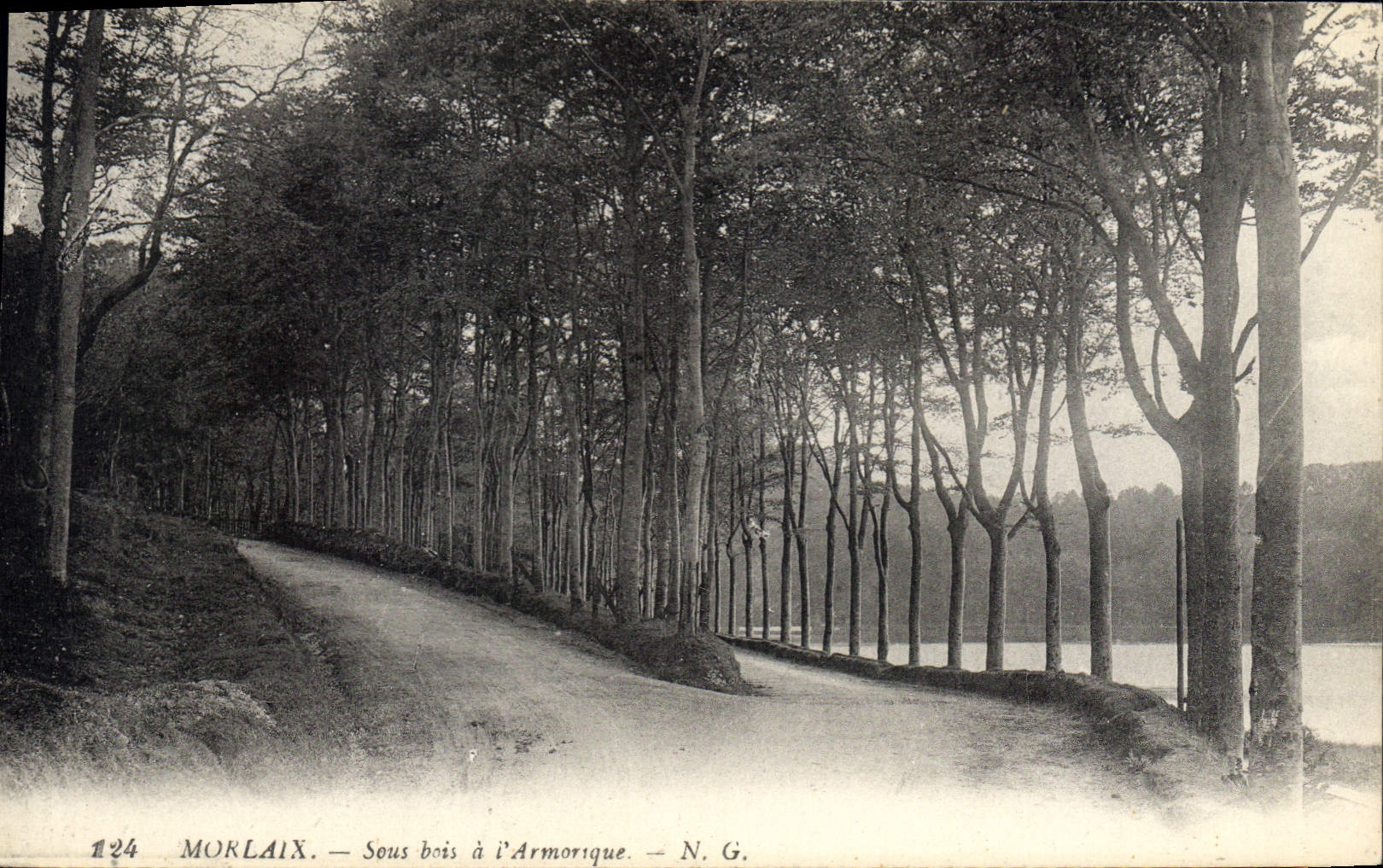 CPA Morlaix Sous bois a l'Armorique 