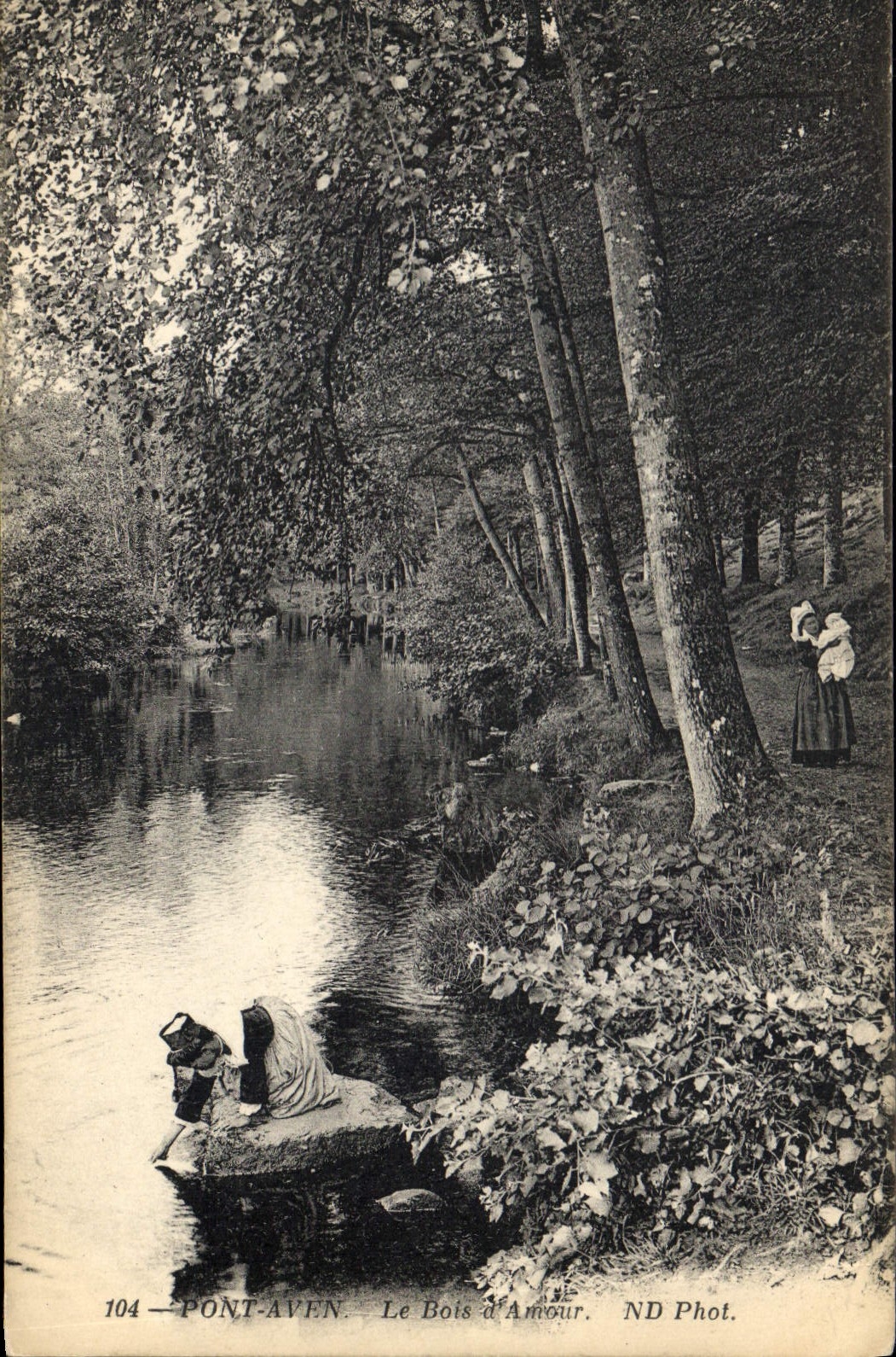 CPA Pont Aven Le Bois d'Amour 
