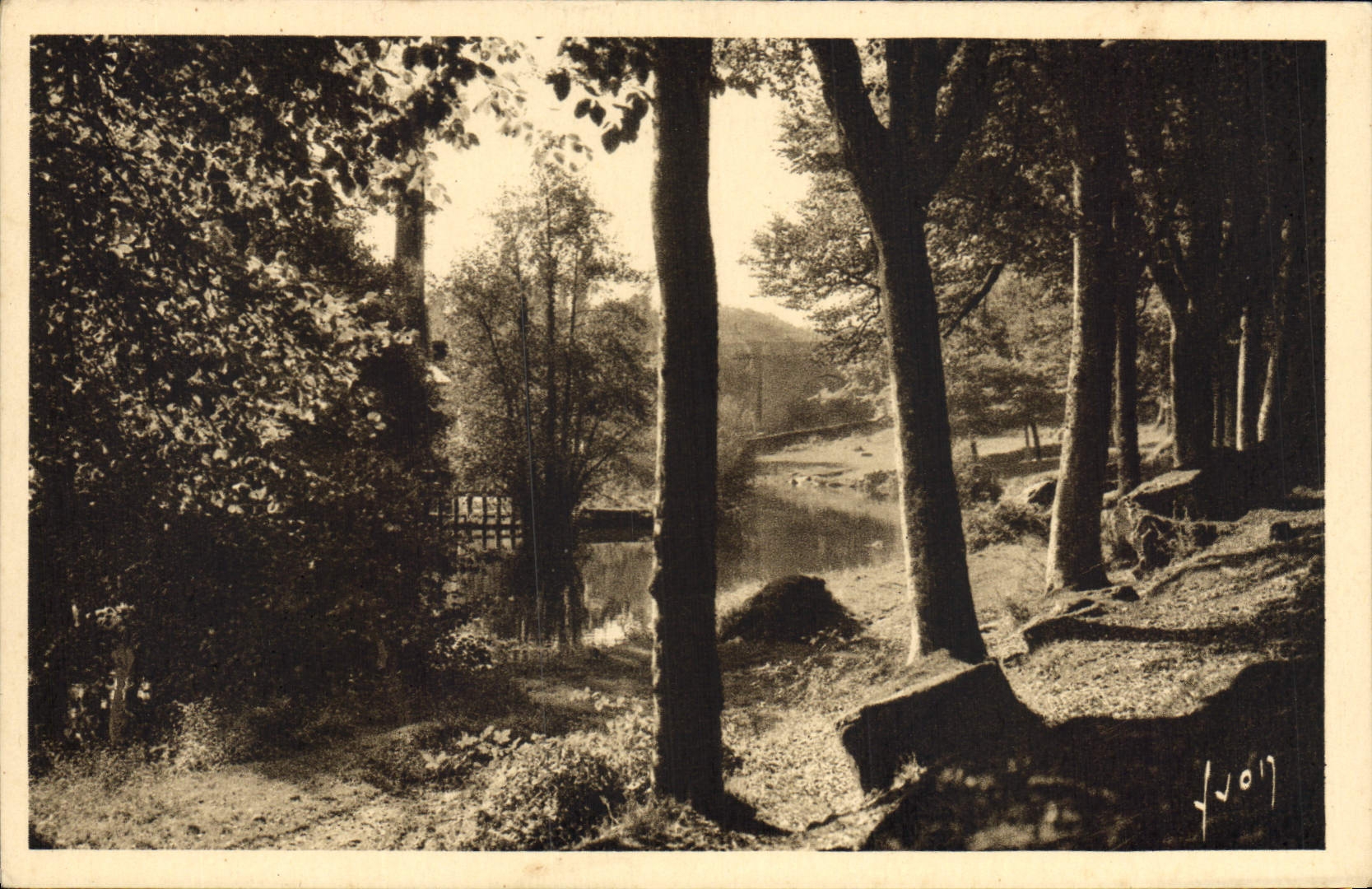 CPA Pont Aven Finistere l'Aven au Bois d'Amour