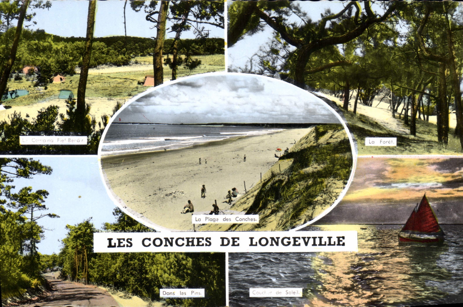 CPA Les Conches de Longeville Plage Camping Fief Benain La foret Coucher de soleil Dans les pins