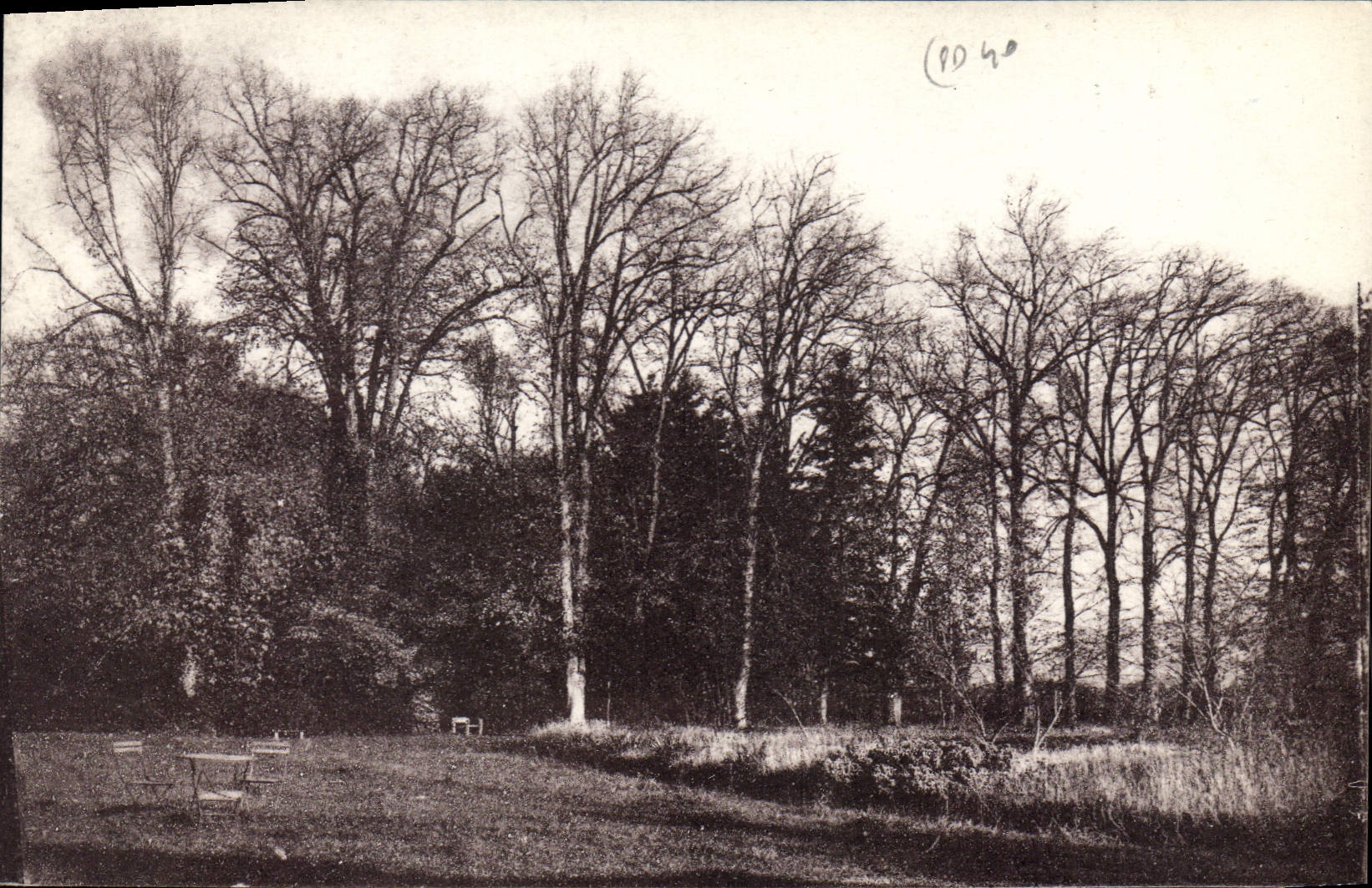 CPA Chateau de Puy Sec par St Martin de Fraigneai Vendee un coin du Parc 