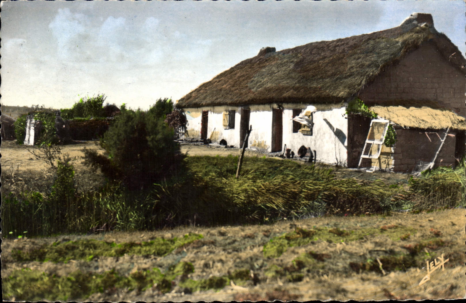 CPA Une Bourine du Marais de Monts Vendee