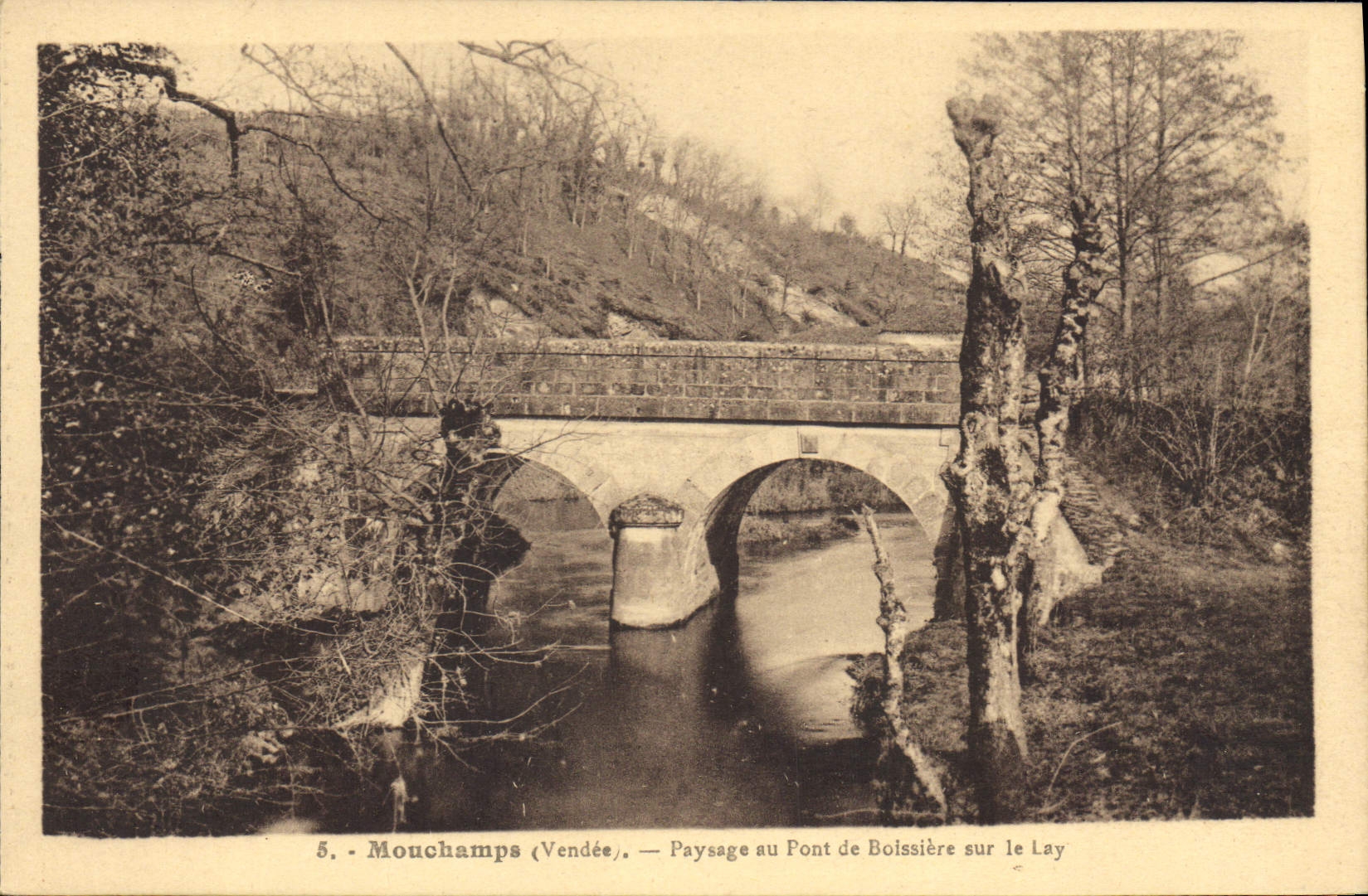 CPA Mouchamps Vendee Paysage au pont de Boissiere sur le Lay 