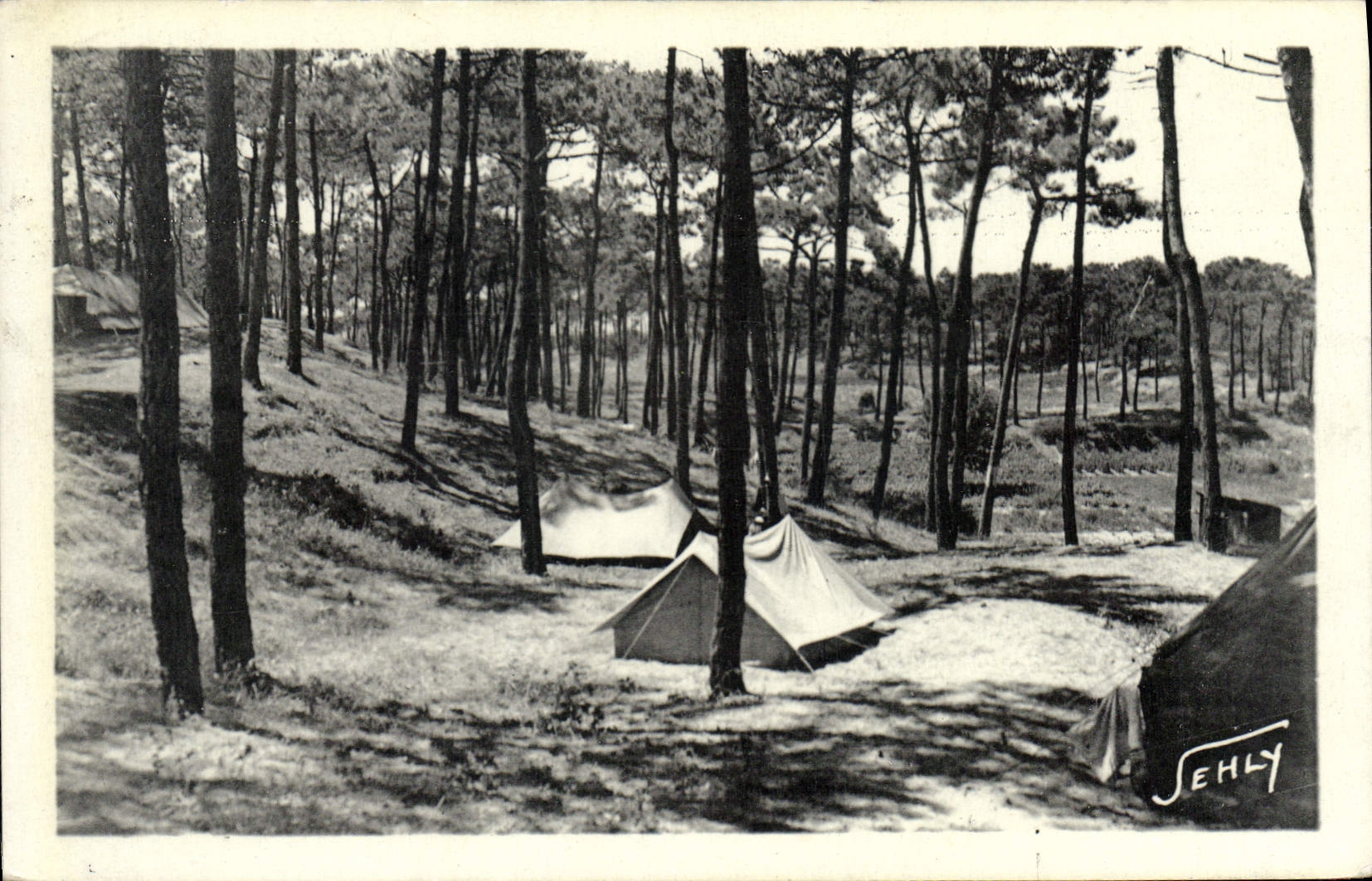 CPA Longeville sur Mer Vendee Camping en Foret