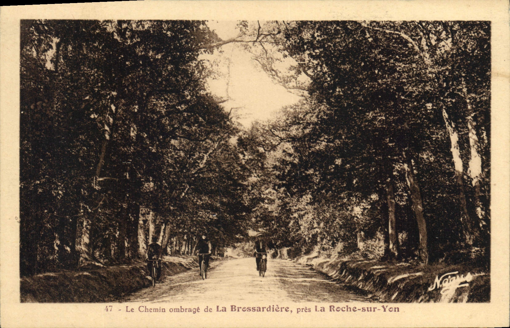 CPA Le Chemin ombrage de la Bressardiere pres la Roche sur Yon