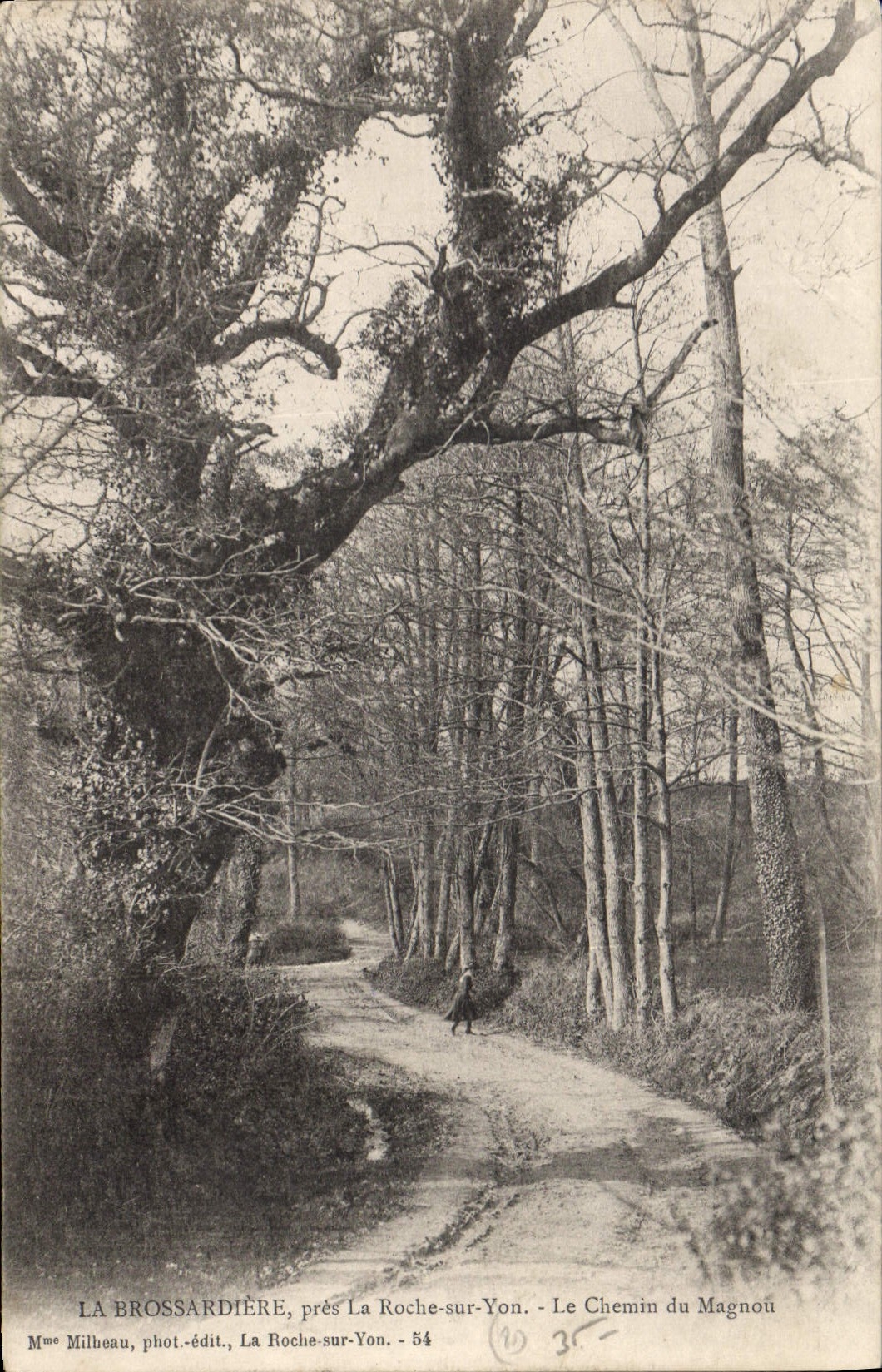 CPA La Brossardiere pres la Roche sur Yon le chemin du Magnou