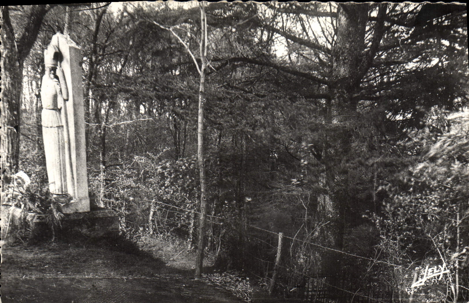 CPA Au Colombier Vendee le parc et les tombes